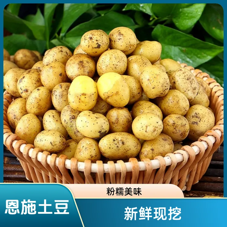 恩施现挖黄心小土豆批发新鲜土豆粉糯面3-9斤迷你马铃薯洋芋蔬菜