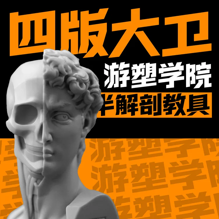 游塑学院大卫肌肉骨骼艺术雕刻扫描3d模型zb人头树脂美术室教具