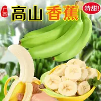 广西高山甜香蕉高山种植软糯香甜新鲜水果现发独立单根发货AA