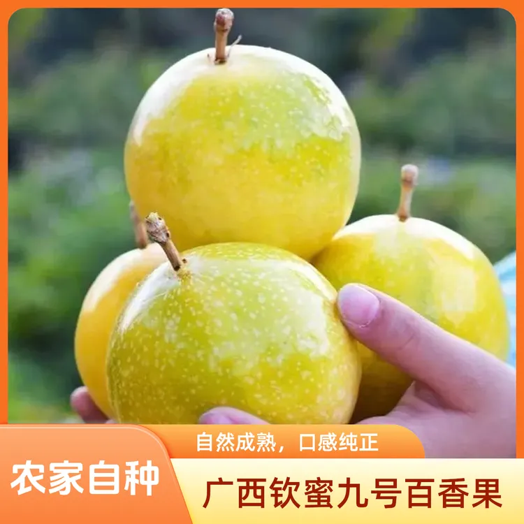 广西灵山钦蜜九号百香果农家自种应季新鲜水果浓香蜜甜包邮