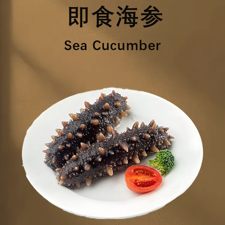 【子光推荐】海庆堂5-6头正宗大连即食海参辽刺参营养高端滋补品