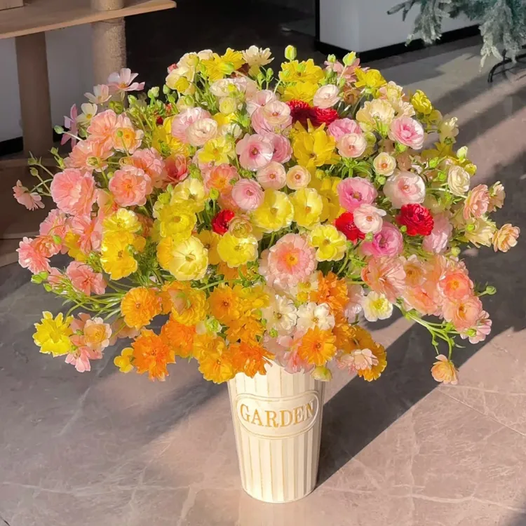 【多彩园艺】催芽蝴蝶花毛茛种球 洋牡丹球根 芹叶牡丹（随机蝴蝶）