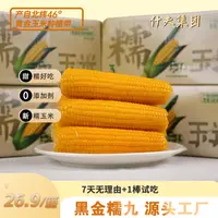 【表哥专属】 东北玉米糯九博斯糯九黄糯玉米软糯香甜10棒独立包装