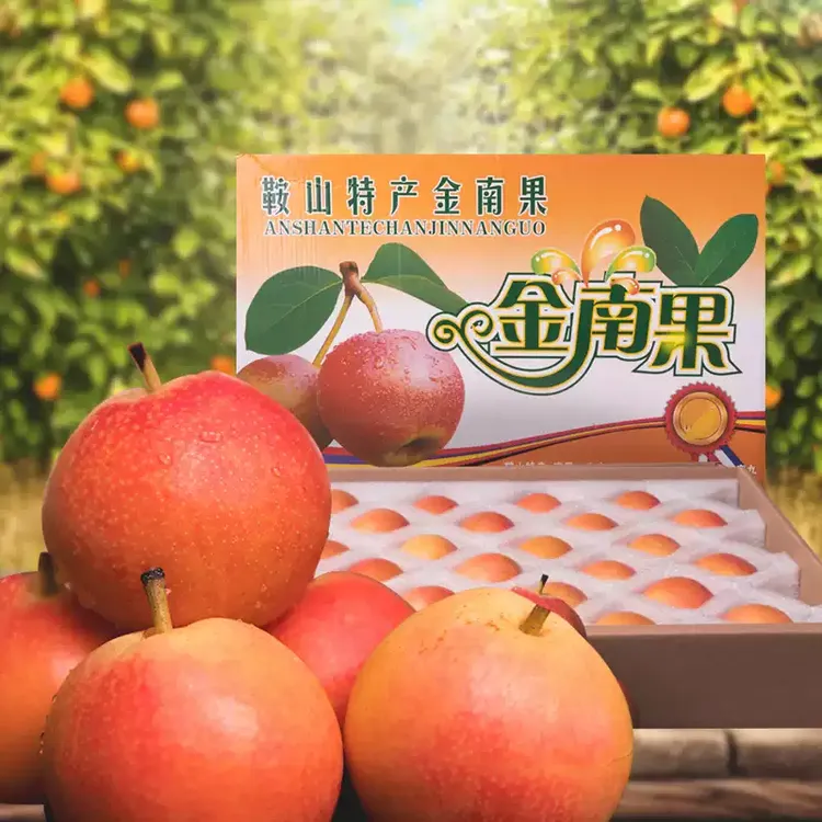 【南果梨礼盒】鞍山南果梨酒香四溢香甜正宗新鲜果园直发梨子东北