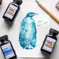 网汇鹅 鲶鱼墨水防晕染黑防水钢笔墨水水彩勾线