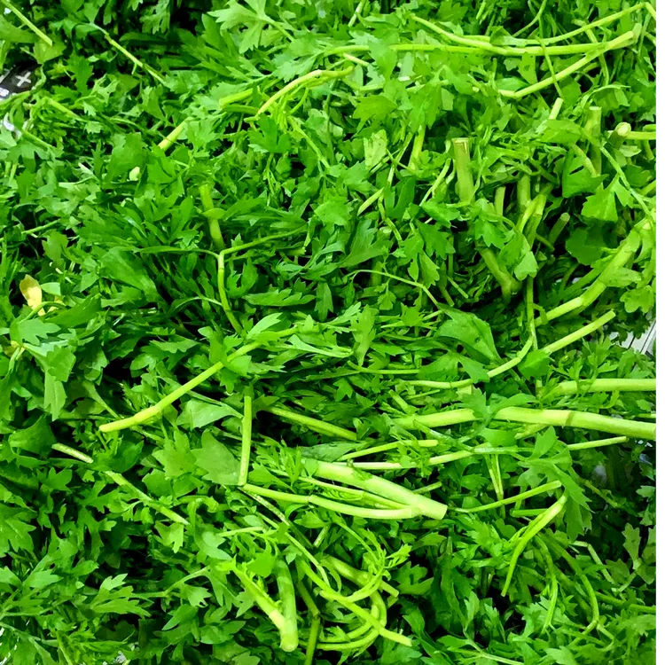 延边朝鲜族风味手工腌制樱菜