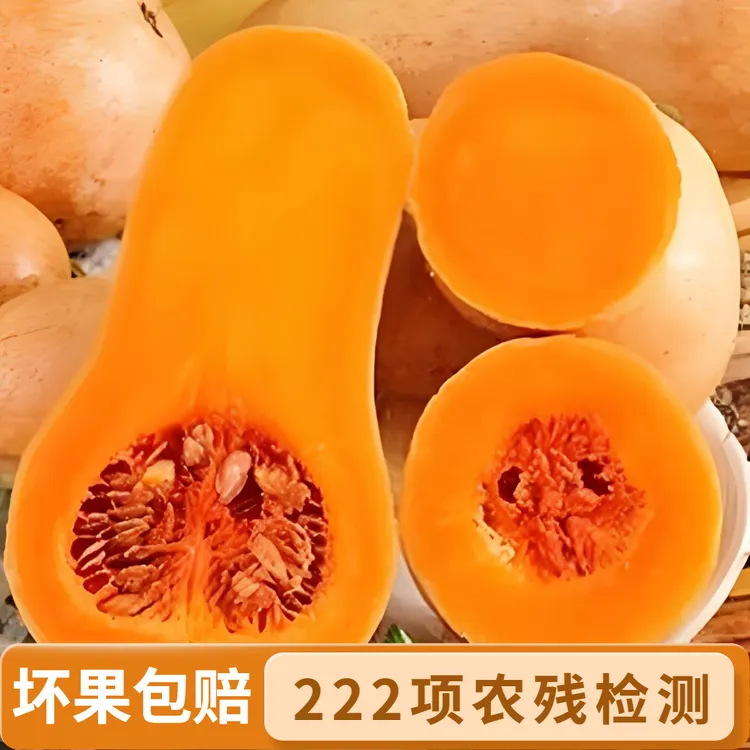 【现采现发-生熟两吃】粉蛮腰2号水果奶油南瓜整箱5斤 非贝贝南瓜