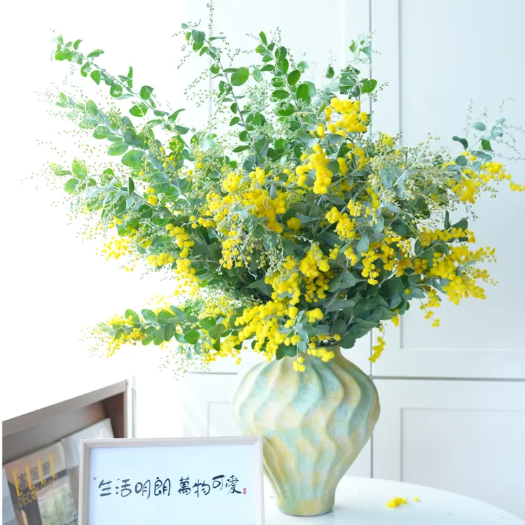 【金合欢】鲜花可做干花云南发货