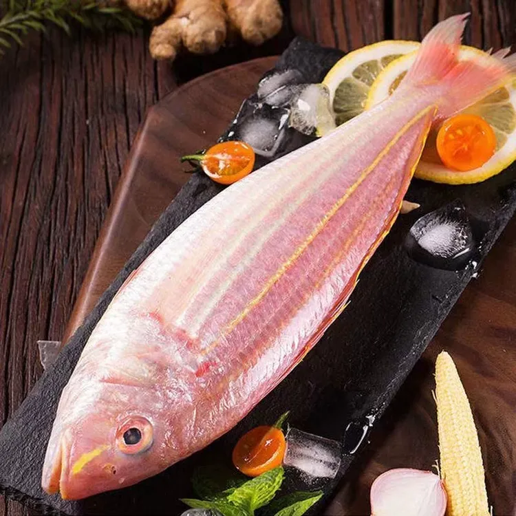 东海新鲜金线鱼金丝鱼鲜活上岸祥芝渔港直发顺丰冷链包邮价格亲民