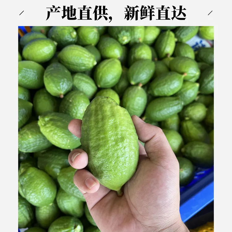 广东香水柠檬鲜果产地直发新鲜青柠檬批发二级果花皮慎拍