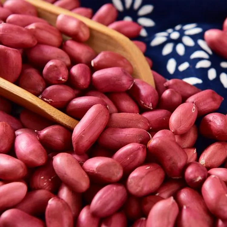2025新红衣花生红皮小花生米生东北农家新鲜晒干花生原味