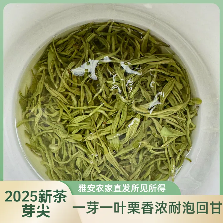 【芽尖】雨前春茶香浓耐泡回甘一芽一叶四川雅安农家高山茶中秋好物