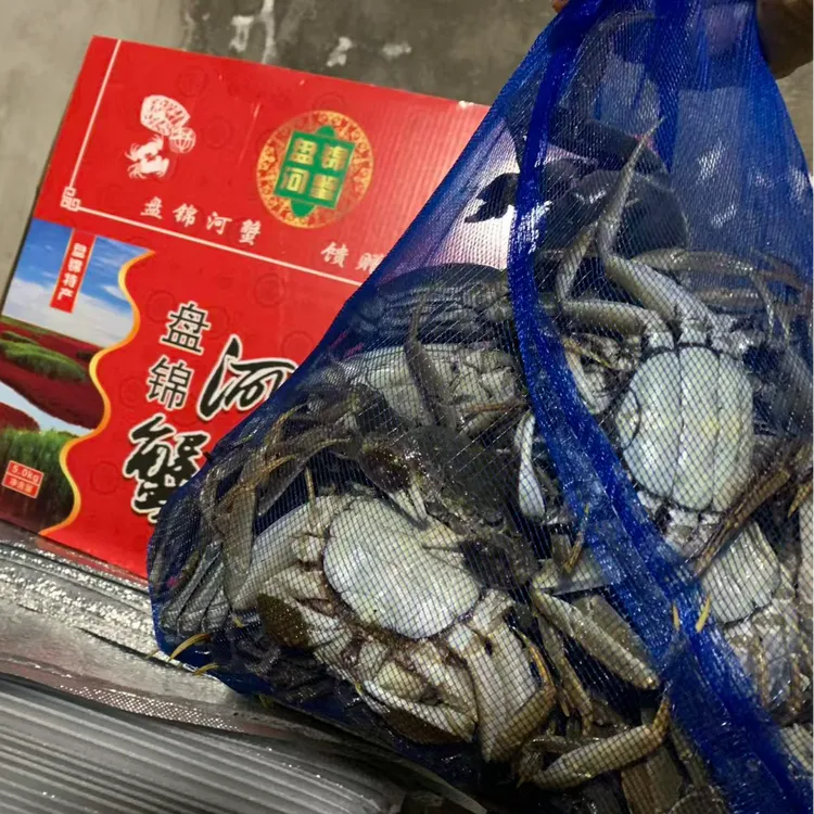 (活蟹）盘锦河蟹全母蟹（1.7-1.4两/只）顺丰京东冷链包邮