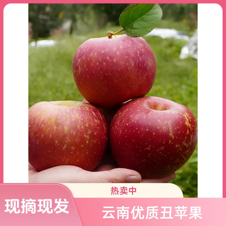 2025云南昭通丑苹果脆甜多汁坏果包赔