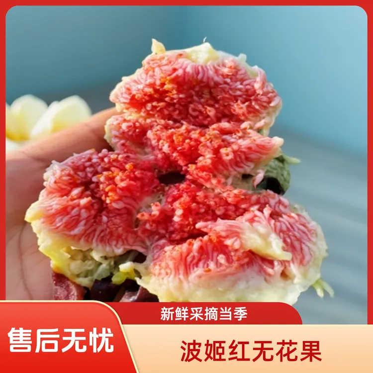 【顺丰空运】四川成都波姬红红皮无花果新鲜采摘应季水果售后无忧