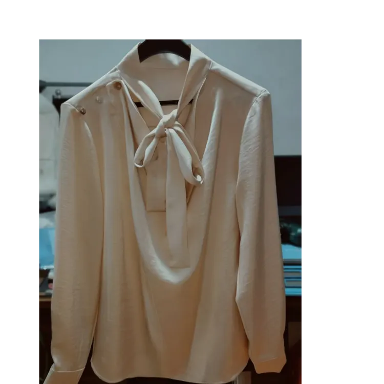 气质长袖飘带领绑带轻职风衬衫时尚女士小衫衬衣设计感系带百搭