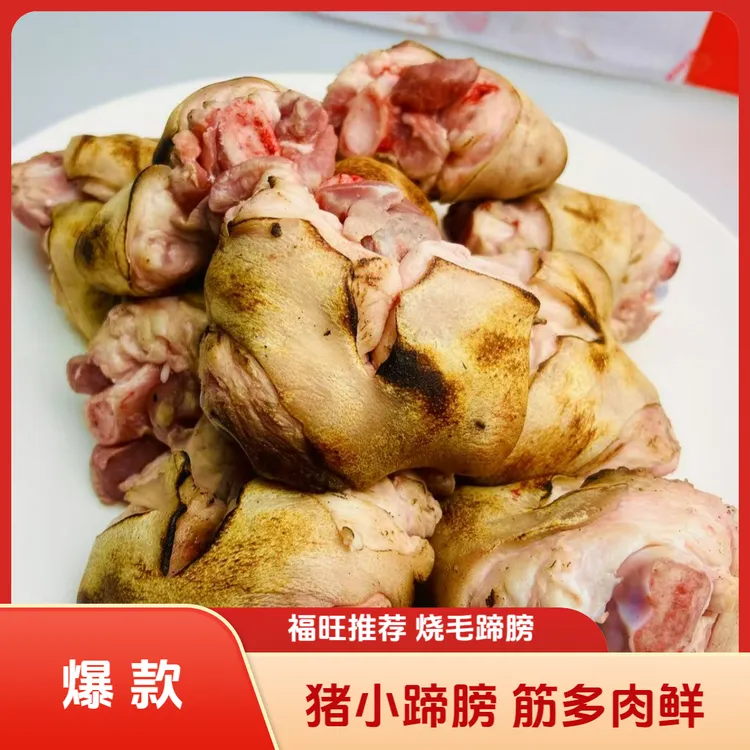 【粉丝专享】烧毛小蹄膀 生猪蹄 猪拐骨猪脚圈 猪二肘 生鲜肉类