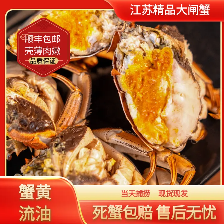 [活蟹]江苏精挑大闸蟹全母蟹2.5两10只礼盒装顺丰冷链鲜活螃蟹