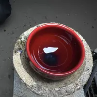 红龙凤呈祥--将军主人杯