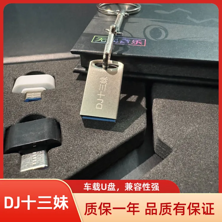 1号链接DJ十三妹车载U盘 《第13期》