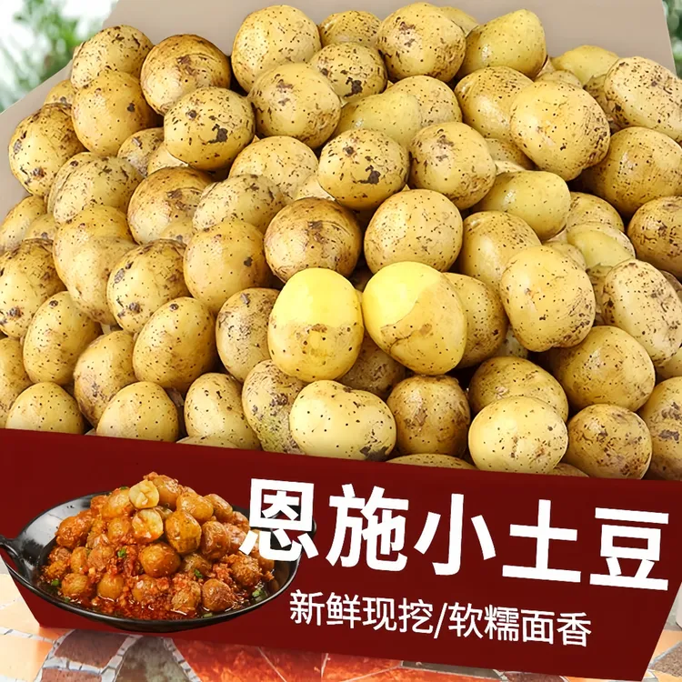 9斤亏卖】正宗恩施小土豆黄心乡村土豆沙面干巴洋芋当季新鲜蔬菜商品图