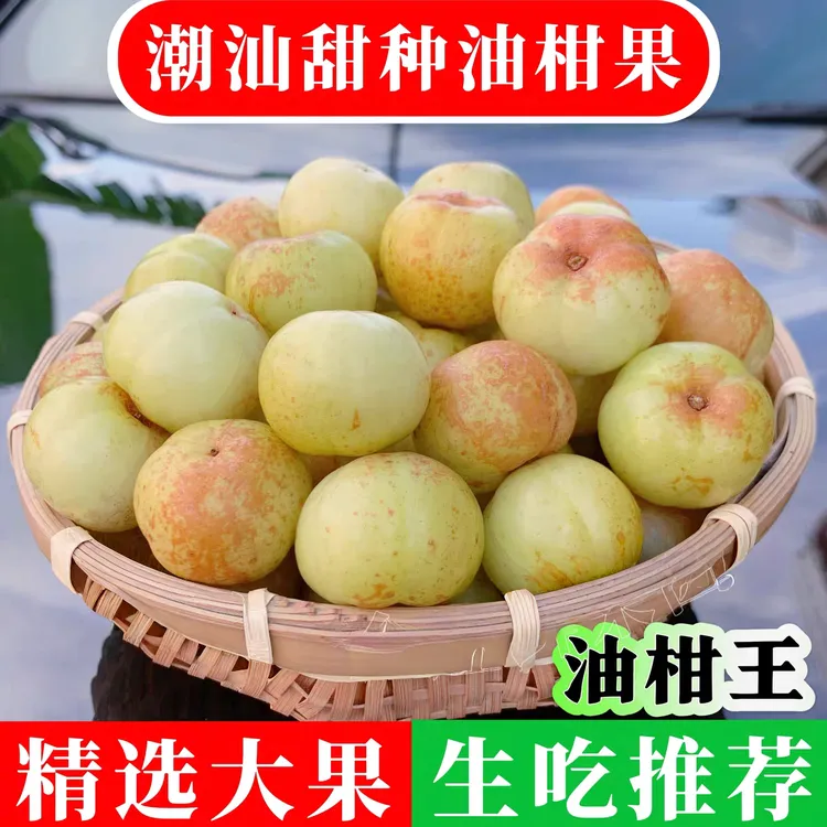 潮汕油甘果油柑新鲜余甘子滇橄榄柿饼甜油甘榨汁孕妇酸水果油甘子