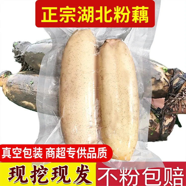 【升级真空包装】正宗湖北煲汤粉藕丰收季青泥巴面藕现挖现发