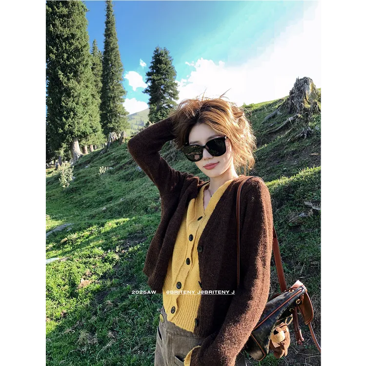 韩系撞色假两件v领毛衣针织衫女秋季慵懒宽松显瘦高级感开衫上衣