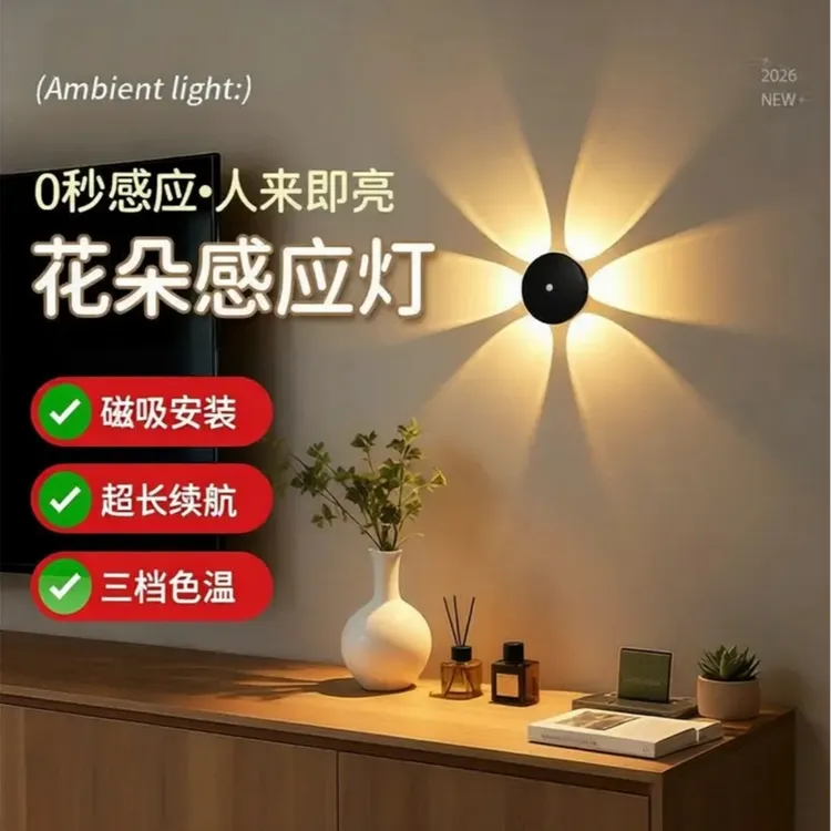 充电免打孔免布线人体感应花朵壁灯客厅电视沙发走廊过道床头墙灯