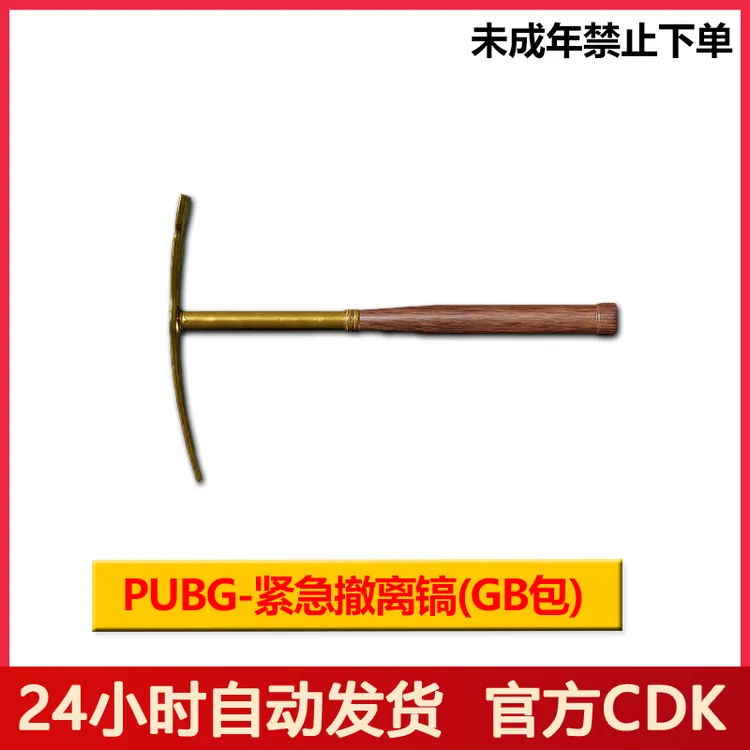 PUBG皮肤绝地求生镐皮肤吃鸡近战武器皮肤【G币包】【未成年禁止下单
