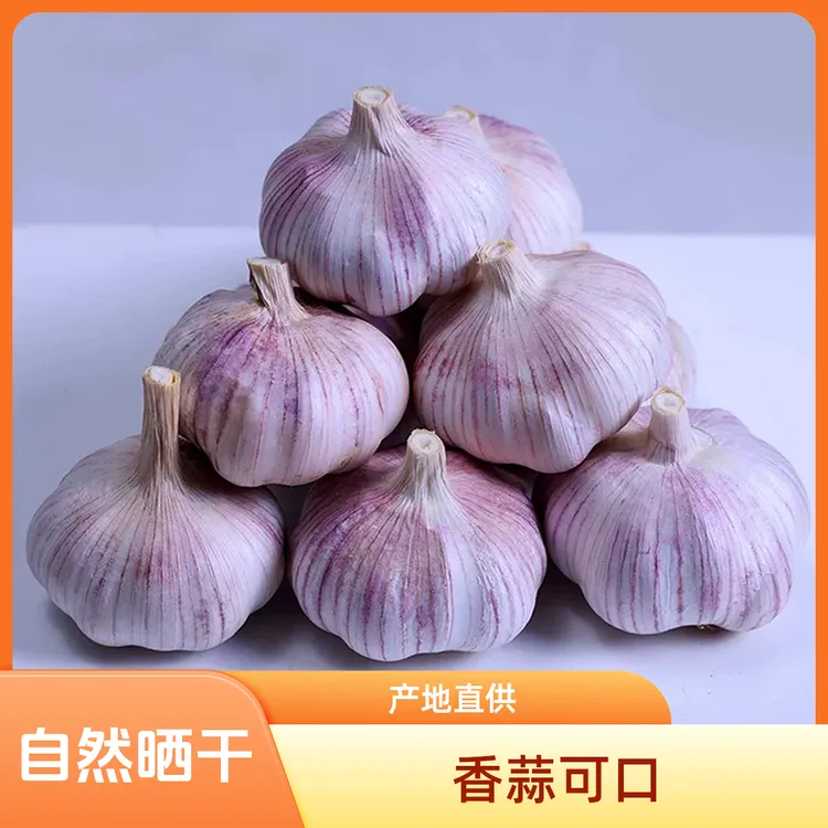 25年河南紫皮自然晒干蒜饱满辛辣提香农家种植大蒜头干蒜5斤蔬菜