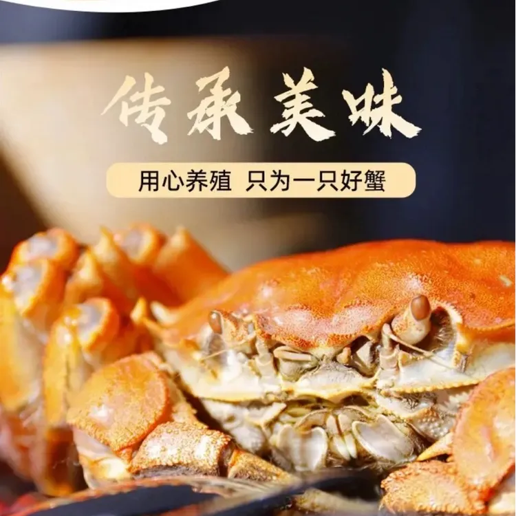 自产自销【江苏大闸蟹】3两母全母10只礼盒装产地鲜活直达