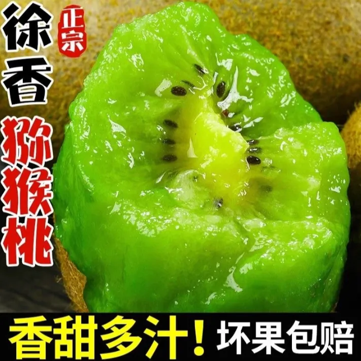 【陕西徐香猕猴桃】徐香猕猴桃助农补贴头茬鲜果香甜可口坏果包赔12