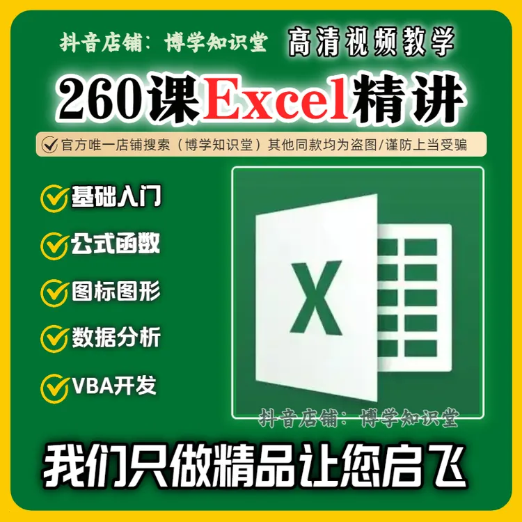 Excel大师课260精讲基础入门公式函数图形图标+数据分析VBA开发