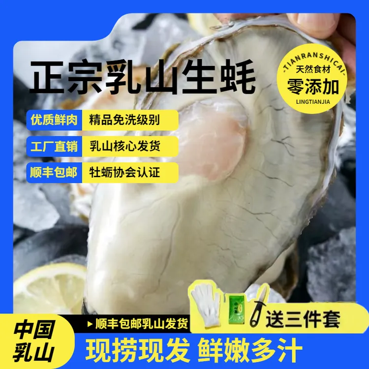 现在拍十五吃【乳山生蚝】拍5斤送5斤到手10斤乳山牡蛎海蛎子商品图