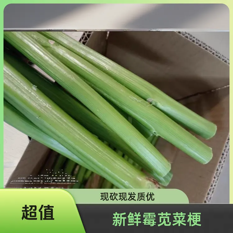 新鲜霉苋菜梗现砍现发汗菜管蟹菜不分老嫩大小霉苋菜梗原料苋菜梗