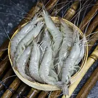 【小鱼儿】特色野生红毛虾 2斤/包*2包 新鲜海捕野生红毛虾 4斤