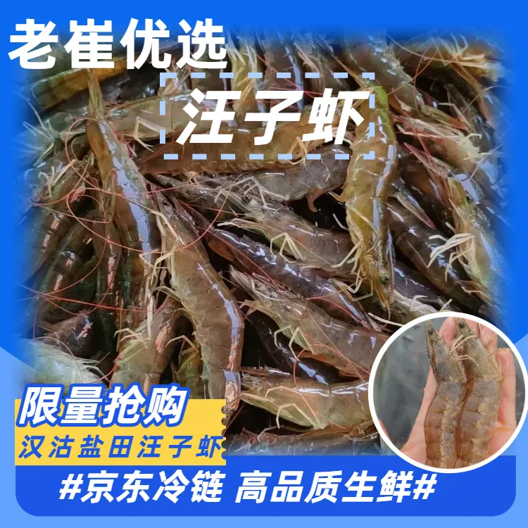 【常规】天津汉沽正宗汪子虾 京东包邮  新鲜捕捞再冻一天 每日50单