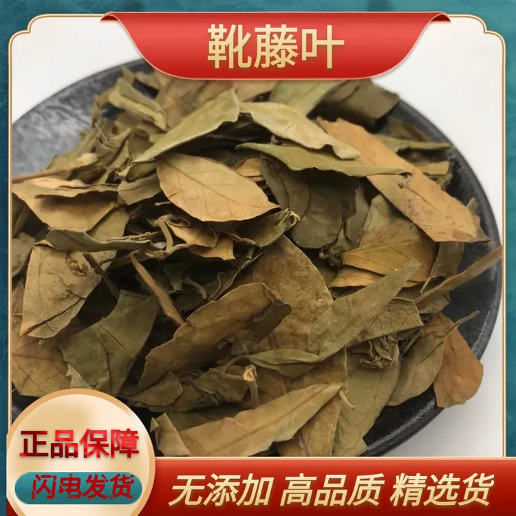 正宗新货武靴藤匙羹藤叶金刚藤叶蛇天角饭杓藤叶野生武靴藤杜仲叶