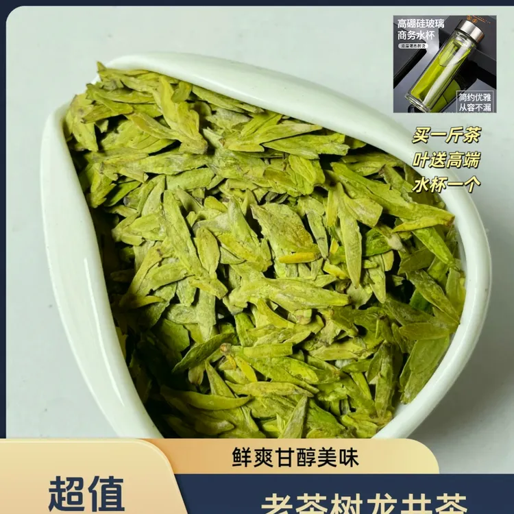 B88-1款老茶树2025年新茶明前龙井茶绿茶鲜爽甘醇