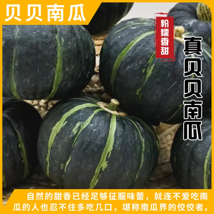 新鲜惠和贝贝南瓜软糯细腻香甜正宗板栗味适合婴儿辅食