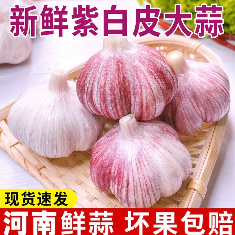 河南产地直发多瓣蒜当季蔬菜农家自种带泥鲜蒜商品图