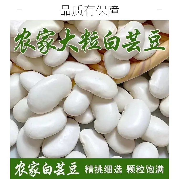 （到手两斤）云南大白芸豆当季新货可煲汤的营养粗粮豆类鲜白芸豆Y商品图