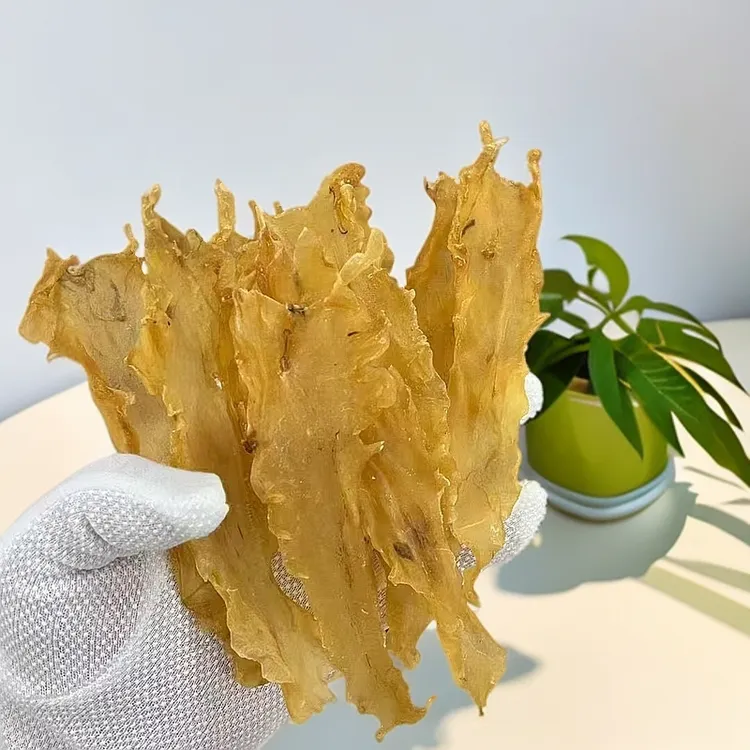鳕鱼胶深海肉厚白花胶滋补孕期煲汤鱼胶