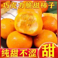 现摘现发巧克力脆甜柿子净重4.5斤