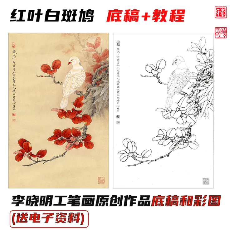 李晓明工笔画《红叶白斑鸠》底稿和彩图（送电子步骤图和教程）