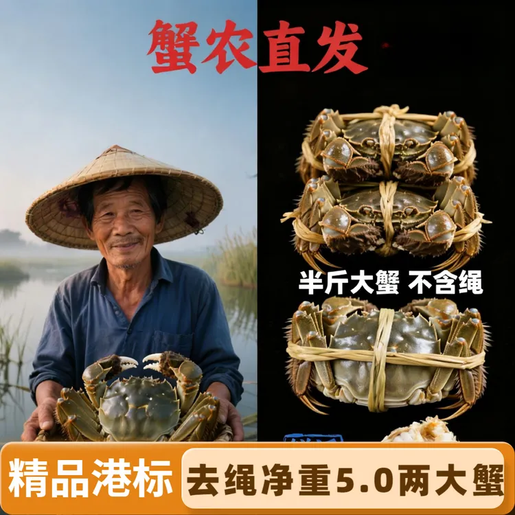 【半斤大蟹港标净重】【赵小农】活蟹苏州大闸蟹鲜活全母蟹4两8只礼盒