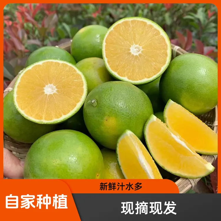 云南哀牢山冰糖橙青皮橙子新鲜水果自家种植现摘现发整箱冰糖橙子