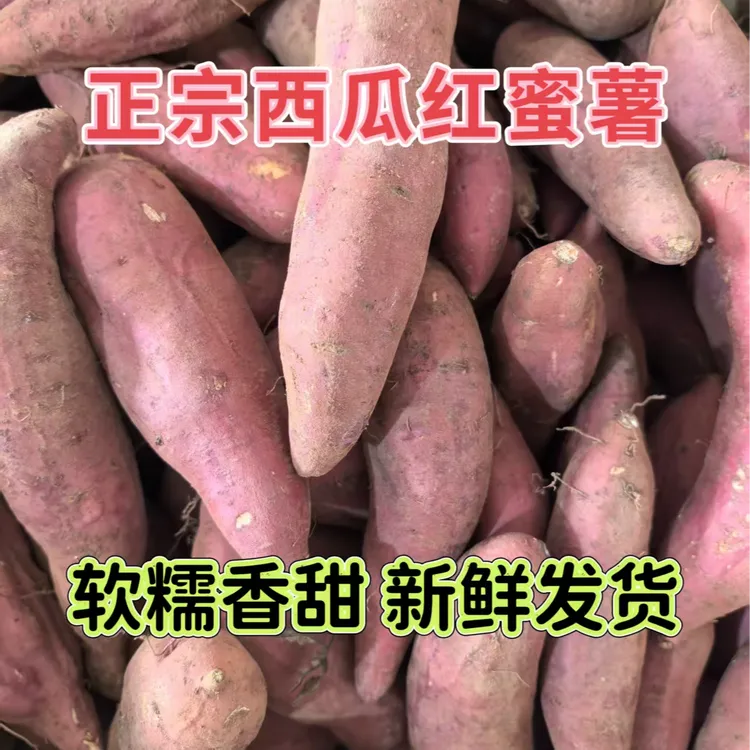 [3/5/9斤装]西瓜红蜜薯软糯香甜新鲜挖应季粗粮