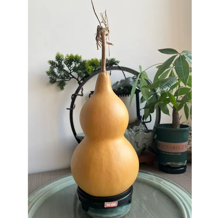  【孤品天然素葫芦摆件2】乔迁家居装饰摆件天然葫芦窗台电视柜纳吉